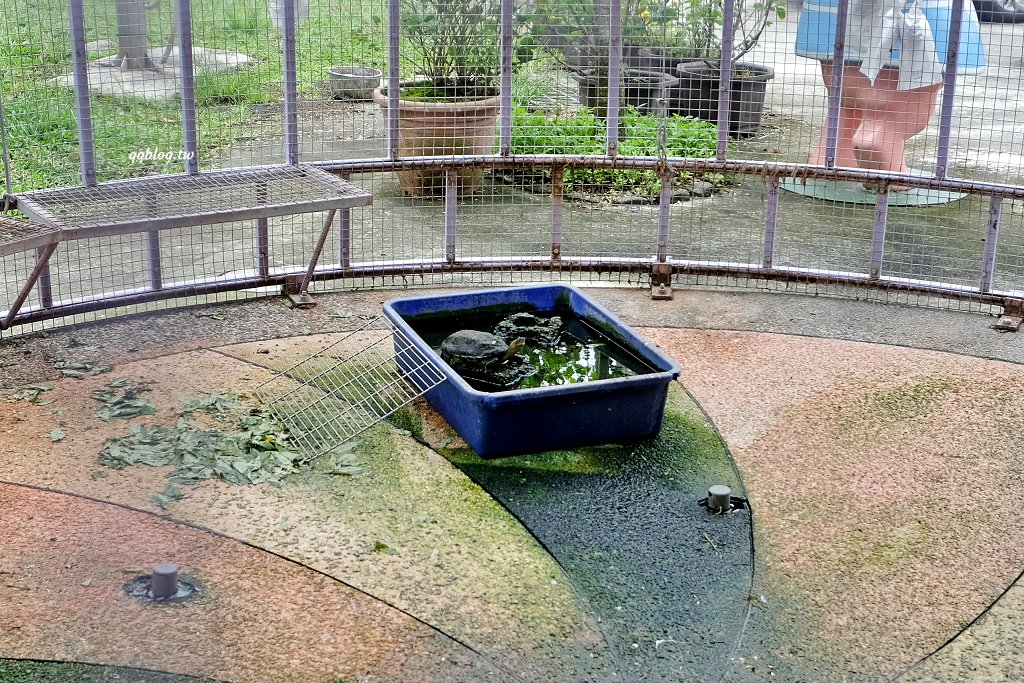台東關山︱米國學校-關山鎮農會休閒旅遊中心．雨天備案免費參觀的室內景點，採買樂~ @QQ的懶骨頭