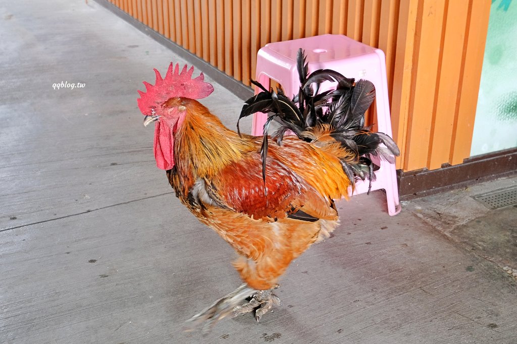台東關山︱米國學校-關山鎮農會休閒旅遊中心．雨天備案免費參觀的室內景點，採買樂~ @QQ的懶骨頭