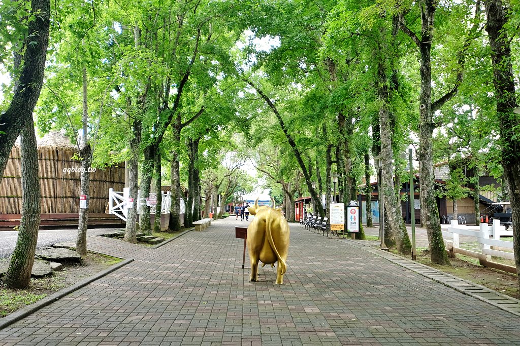 台東卑南︱初鹿牧場．近距離接觸可愛動物來一場餵食趣，香濃霜淇淋更是不可錯過 @QQ的懶骨頭