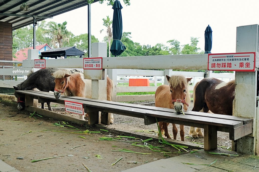 台東卑南︱初鹿牧場．近距離接觸可愛動物來一場餵食趣，香濃霜淇淋更是不可錯過 @QQ的懶骨頭