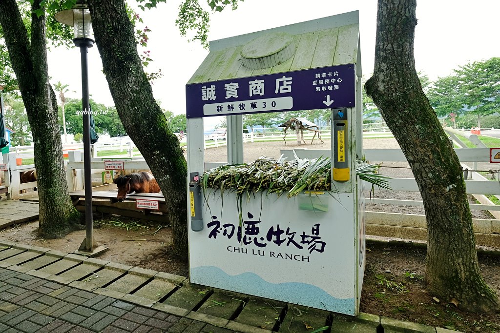台東卑南︱初鹿牧場．近距離接觸可愛動物來一場餵食趣，香濃霜淇淋更是不可錯過 @QQ的懶骨頭