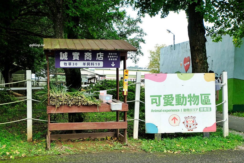 台東卑南︱初鹿牧場．近距離接觸可愛動物來一場餵食趣，香濃霜淇淋更是不可錯過 @QQ的懶骨頭