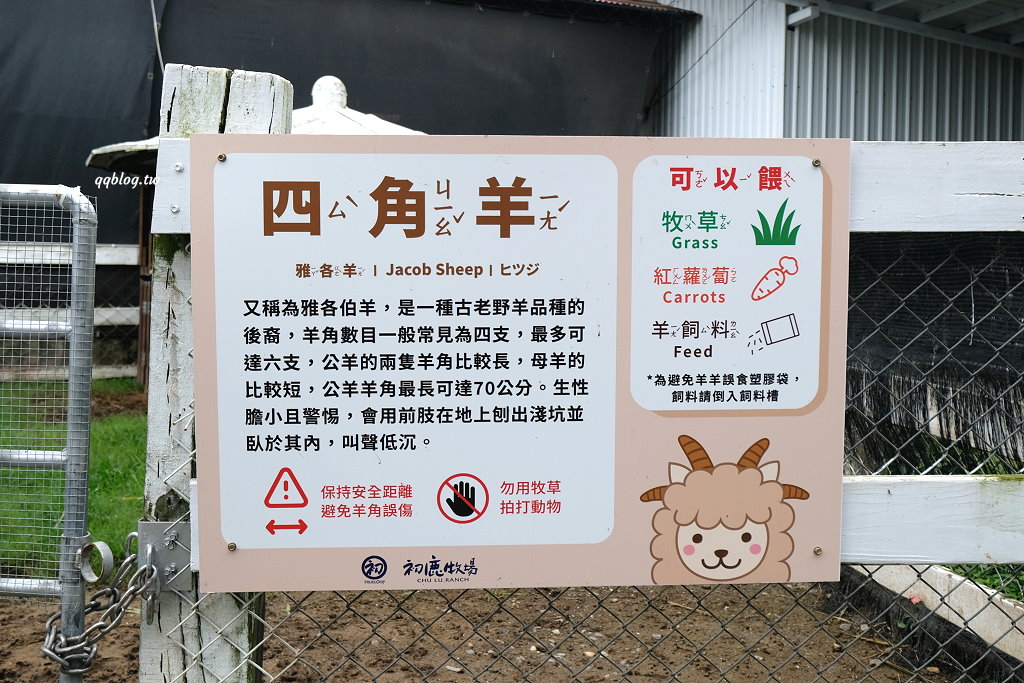 台東卑南︱初鹿牧場．近距離接觸可愛動物來一場餵食趣，香濃霜淇淋更是不可錯過 @QQ的懶骨頭