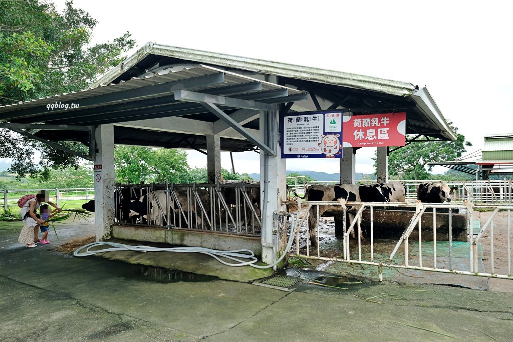 台東卑南︱初鹿牧場．近距離接觸可愛動物來一場餵食趣，香濃霜淇淋更是不可錯過 @QQ的懶骨頭