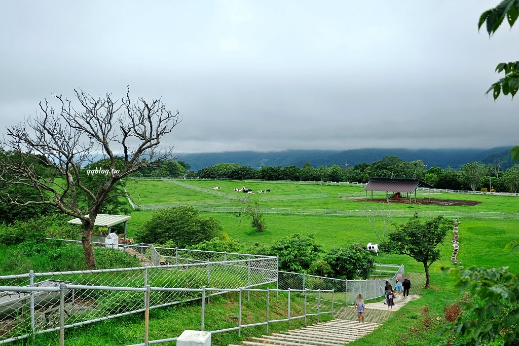 台東卑南︱初鹿牧場．近距離接觸可愛動物來一場餵食趣，香濃霜淇淋更是不可錯過 @QQ的懶骨頭