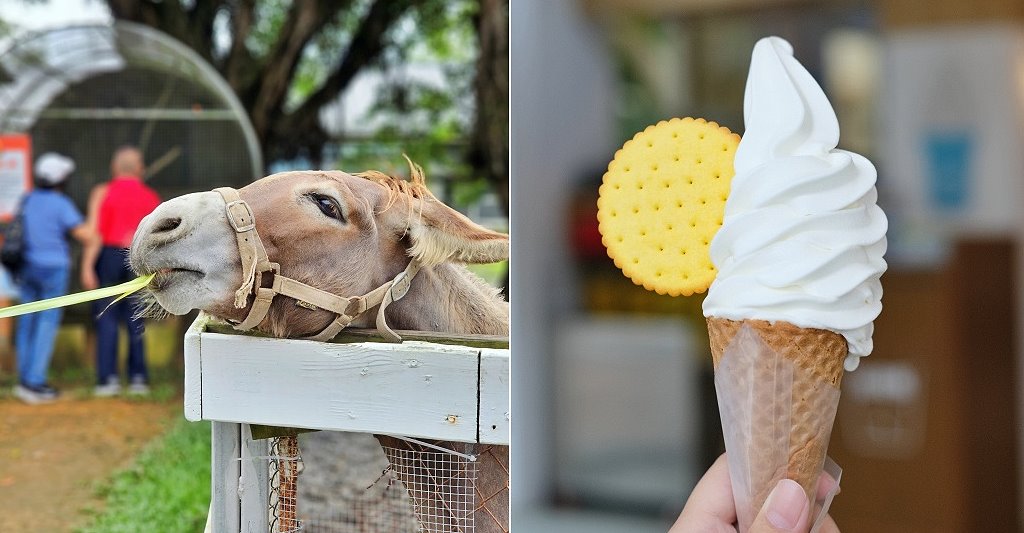 台東卑南︱初鹿牧場．近距離接觸可愛動物來一場餵食趣，香濃霜淇淋更是不可錯過 @QQ的懶骨頭