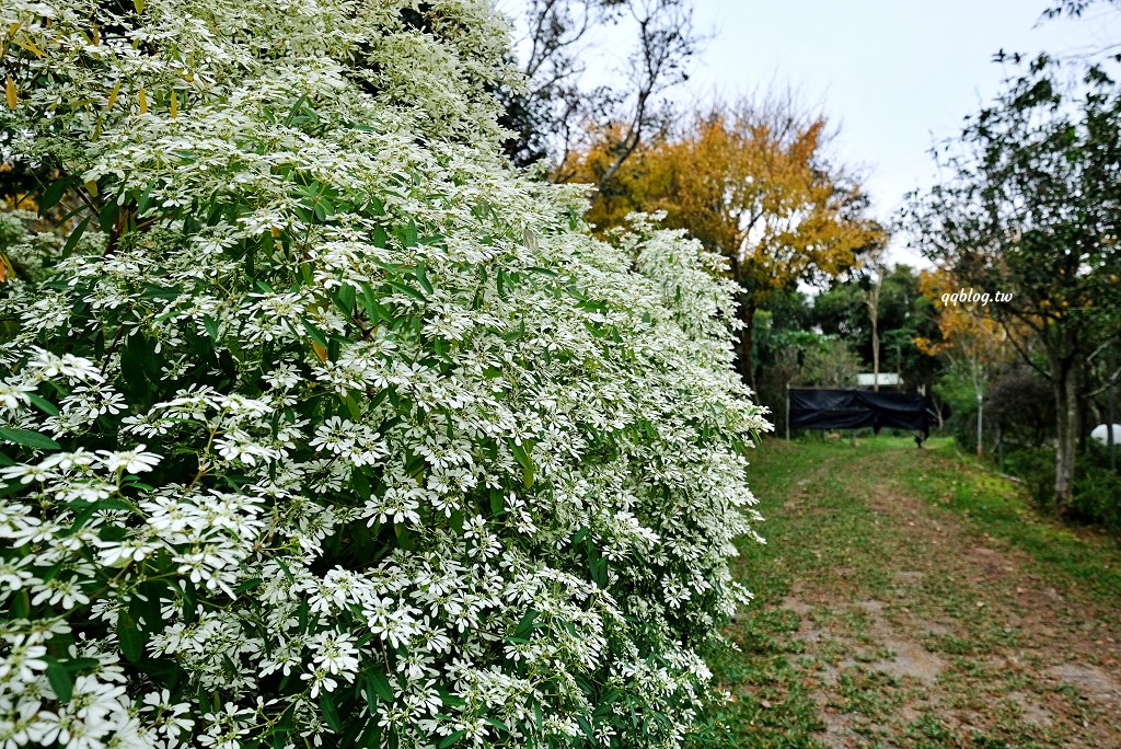 苗栗卓蘭︱寨酌然野奢庄園．苗栗五星級奢華露營區，Villa住宿享一泊二食，懶人露營超chill @QQ的懶骨頭