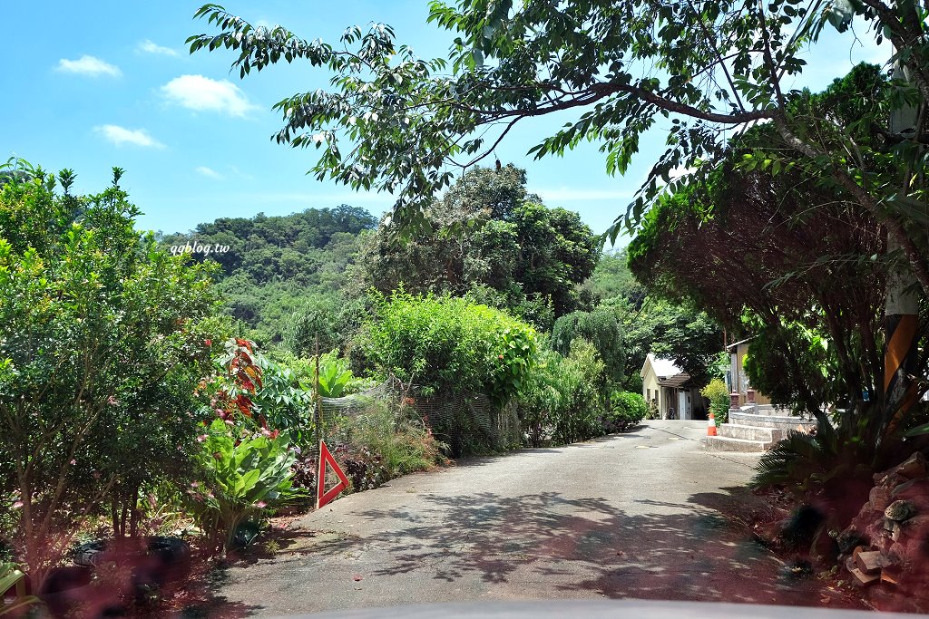 苗栗銅鑼︱哈比丘茶樹森林，超萌的水豚君和笑笑羊出沒，還有網美必拍高空盪鞦韆 @QQ的懶骨頭