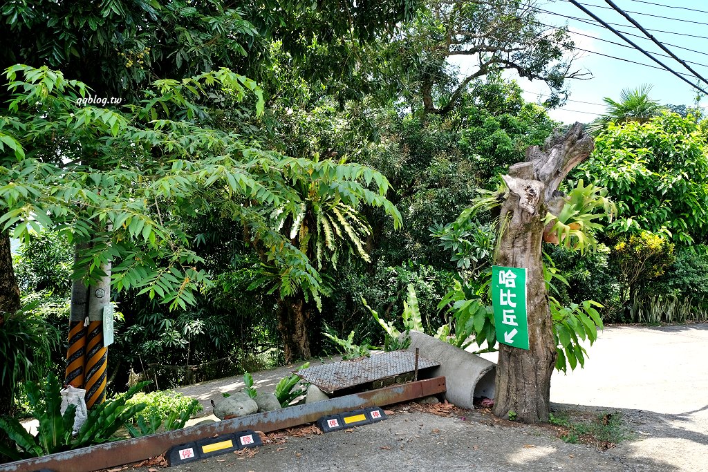 苗栗銅鑼︱哈比丘茶樹森林，超萌的水豚君和笑笑羊出沒，還有網美必拍高空盪鞦韆 @QQ的懶骨頭