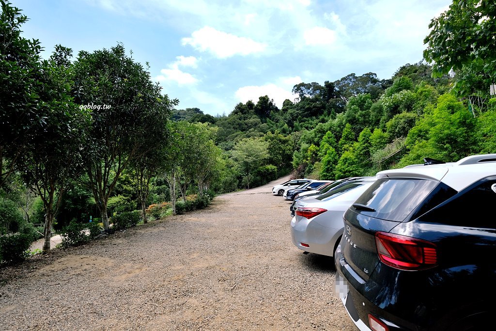苗栗銅鑼︱哈比丘茶樹森林，超萌的水豚君和笑笑羊出沒，還有網美必拍高空盪鞦韆 @QQ的懶骨頭