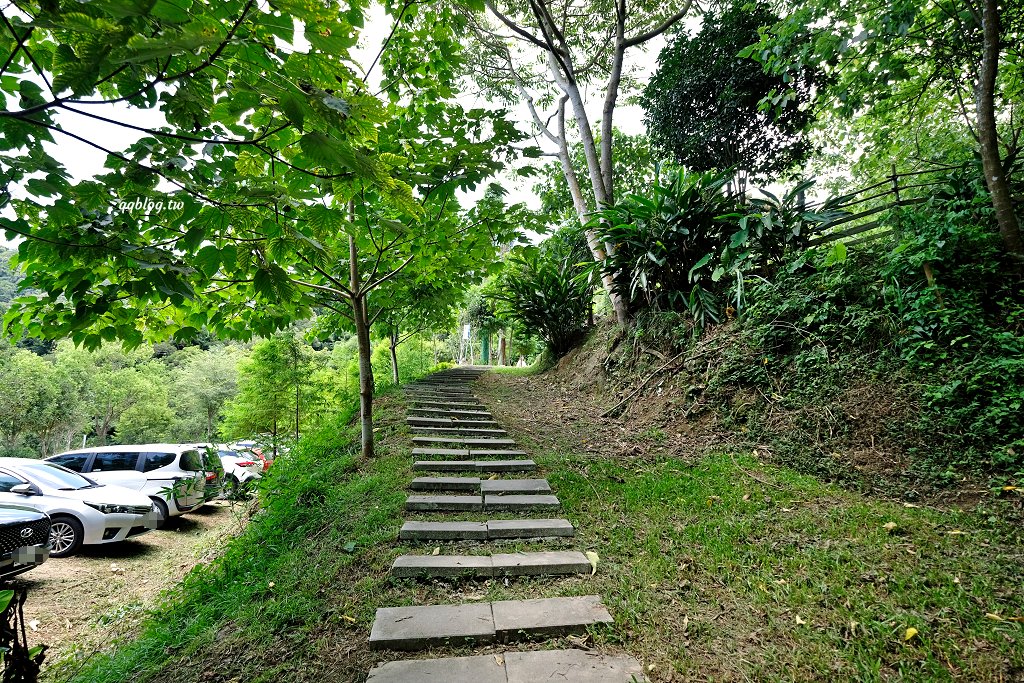 苗栗銅鑼︱哈比丘茶樹森林，超萌的水豚君和笑笑羊出沒，還有網美必拍高空盪鞦韆 @QQ的懶骨頭