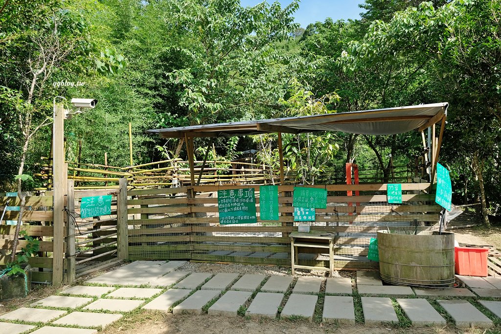 苗栗銅鑼︱哈比丘茶樹森林，超萌的水豚君和笑笑羊出沒，還有網美必拍高空盪鞦韆 @QQ的懶骨頭