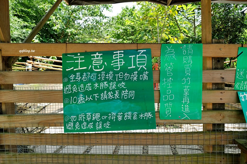 苗栗銅鑼︱哈比丘茶樹森林，超萌的水豚君和笑笑羊出沒，還有網美必拍高空盪鞦韆 @QQ的懶骨頭