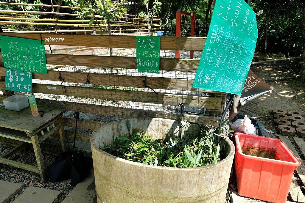 苗栗銅鑼︱哈比丘茶樹森林，超萌的水豚君和笑笑羊出沒，還有網美必拍高空盪鞦韆 @QQ的懶骨頭