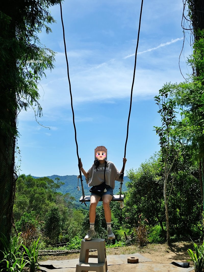 苗栗銅鑼︱哈比丘茶樹森林，超萌的水豚君和笑笑羊出沒，還有網美必拍高空盪鞦韆 @QQ的懶骨頭