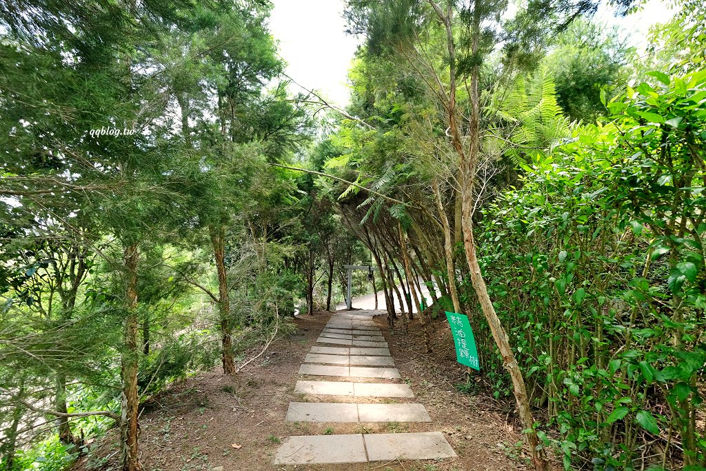 苗栗銅鑼︱哈比丘茶樹森林，超萌的水豚君和笑笑羊出沒，還有網美必拍高空盪鞦韆 @QQ的懶骨頭