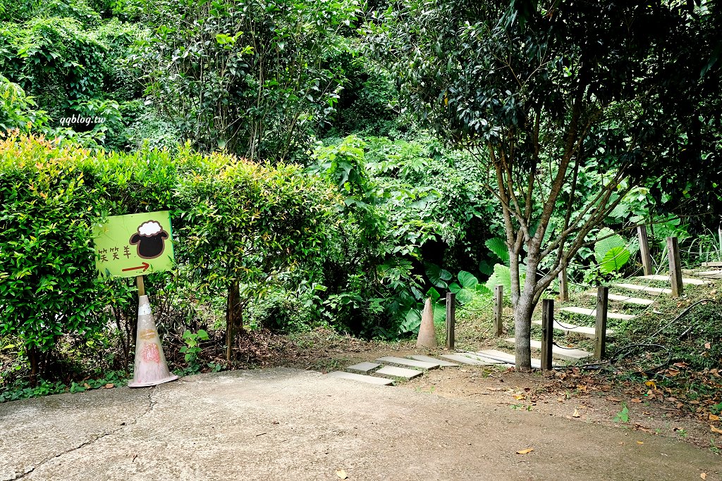 苗栗銅鑼︱哈比丘茶樹森林，超萌的水豚君和笑笑羊出沒，還有網美必拍高空盪鞦韆 @QQ的懶骨頭