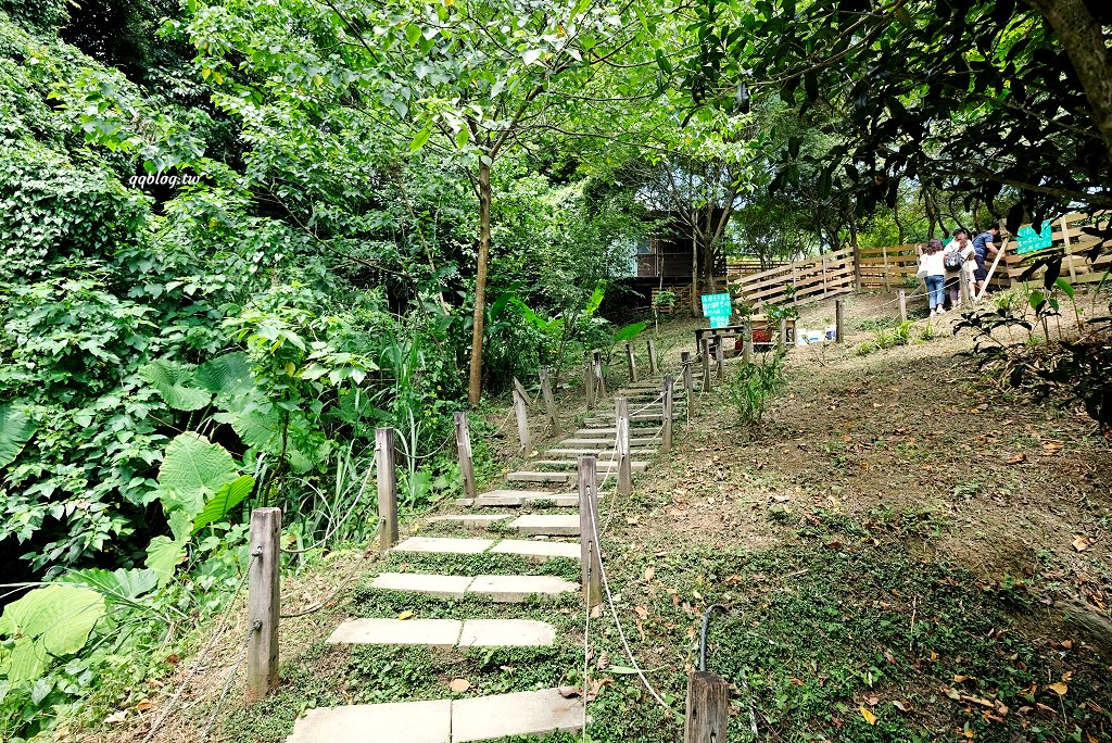 苗栗銅鑼︱哈比丘茶樹森林，超萌的水豚君和笑笑羊出沒，還有網美必拍高空盪鞦韆 @QQ的懶骨頭