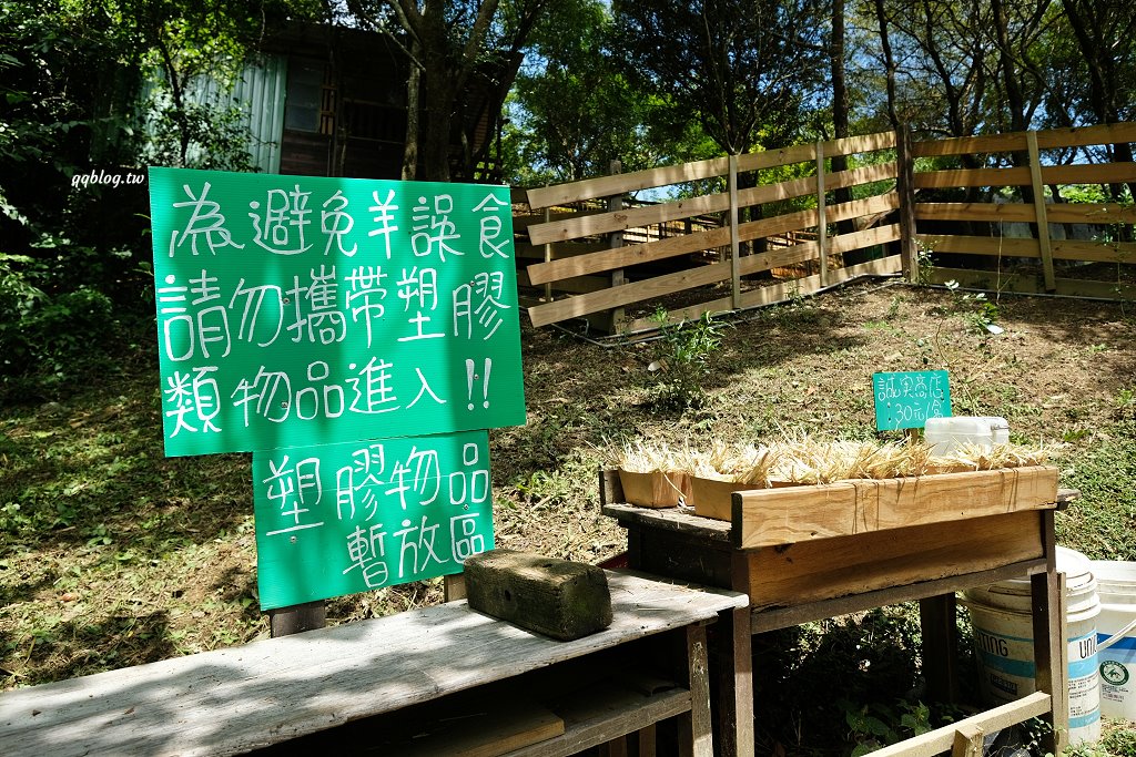 苗栗銅鑼︱哈比丘茶樹森林，超萌的水豚君和笑笑羊出沒，還有網美必拍高空盪鞦韆 @QQ的懶骨頭
