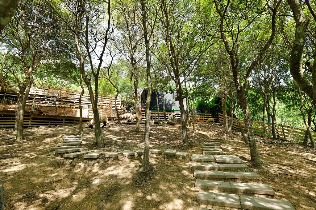 苗栗銅鑼︱哈比丘茶樹森林，超萌的水豚君和笑笑羊出沒，還有網美必拍高空盪鞦韆 @QQ的懶骨頭