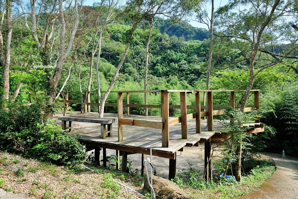 苗栗銅鑼︱哈比丘茶樹森林，超萌的水豚君和笑笑羊出沒，還有網美必拍高空盪鞦韆 @QQ的懶骨頭