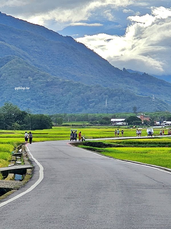 台東池上︱伯朗大道，筆直的伯朗大道、蜿蜒的天堂路和畫框，美景盡收眼底 @QQ的懶骨頭