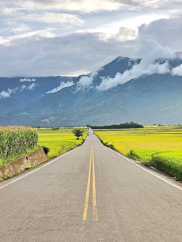 台東池上︱伯朗大道，筆直的伯朗大道、蜿蜒的天堂路和畫框，美景盡收眼底 @QQ的懶骨頭
