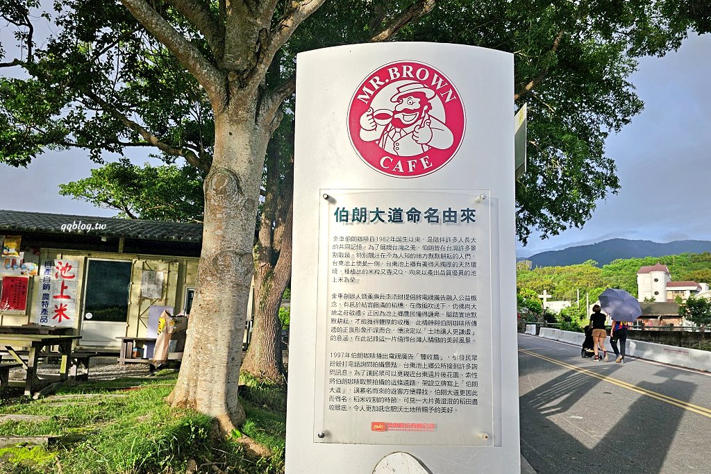 台東池上︱伯朗大道，筆直的伯朗大道、蜿蜒的天堂路和畫框，美景盡收眼底 @QQ的懶骨頭