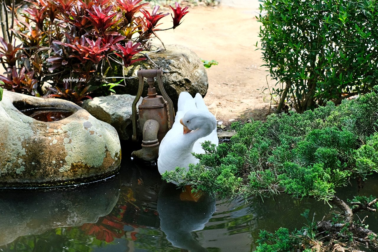 台中石岡︱仙塘跡農園餐廳．半山腰上的景觀農家餐廳，燜鴨、香煎豬肝招牌必點，品嚐客家菜的古早味料理 @QQ的懶骨頭