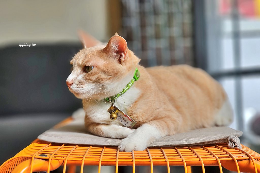 台東關山︱奧維小鎮 吃。住。好生活．關山小鎮裡的老宅咖啡甜點，享受了一個美好的午后時光 @QQ的懶骨頭