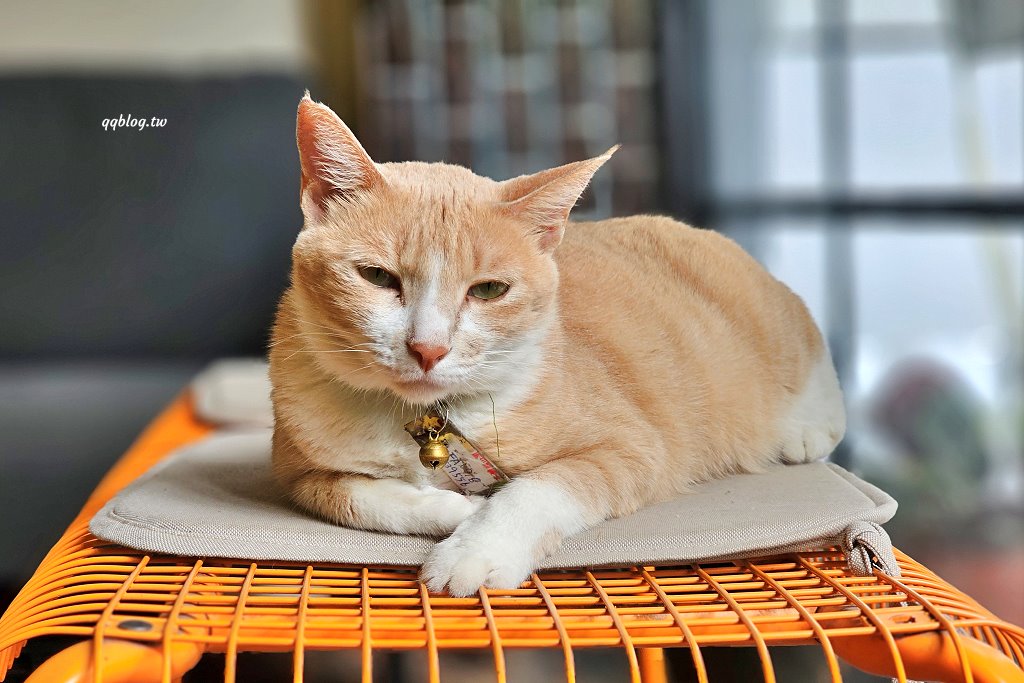 台東關山︱奧維小鎮 吃。住。好生活．關山小鎮裡的老宅咖啡甜點，享受了一個美好的午后時光 @QQ的懶骨頭