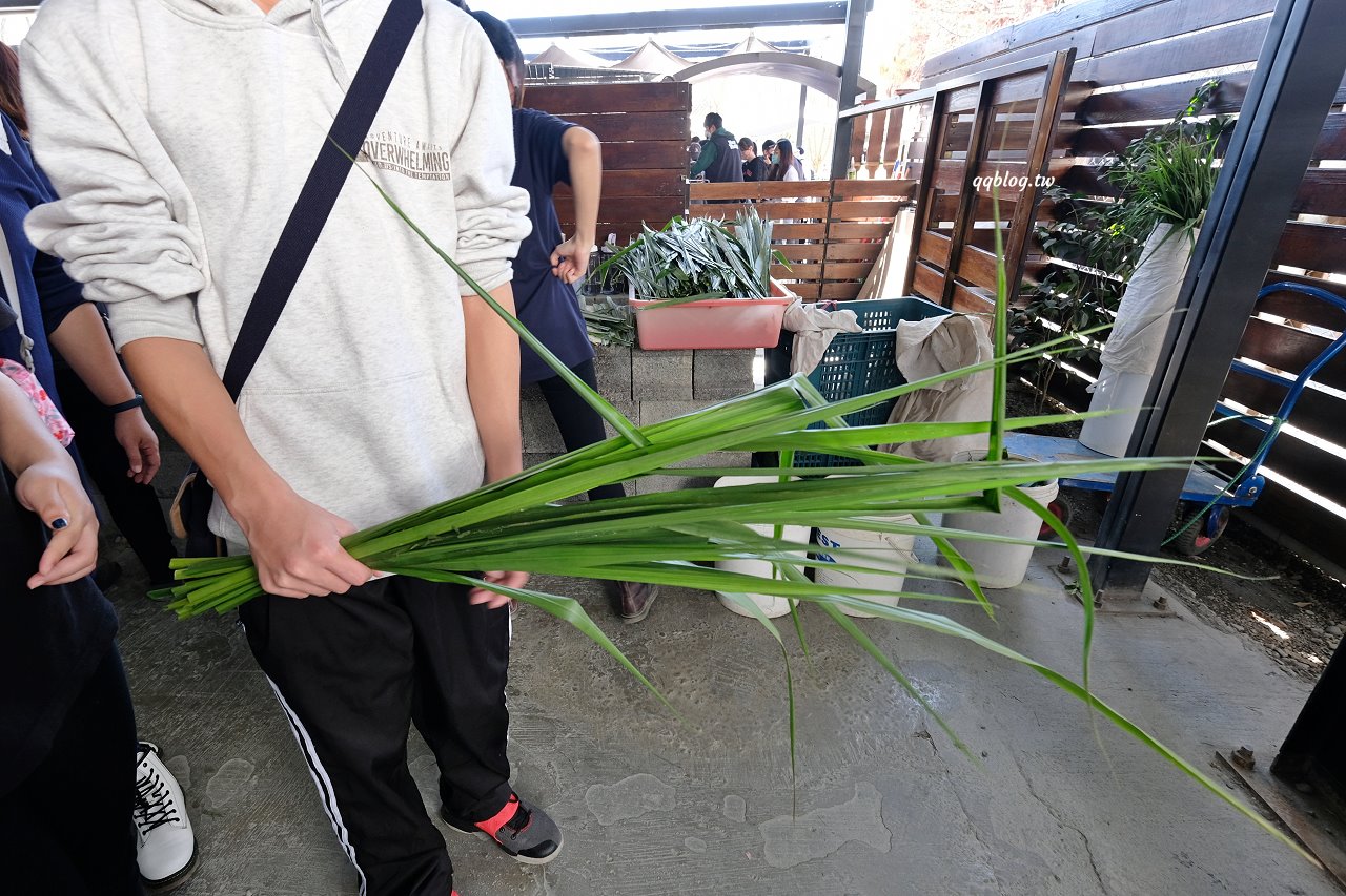 宜蘭三星︱張美阿嬤農場．宜蘭超人氣農場，近距離接觸水豚君、笑笑羊、羊駝和梅花鹿，太萌啦&#8230; @QQ的懶骨頭