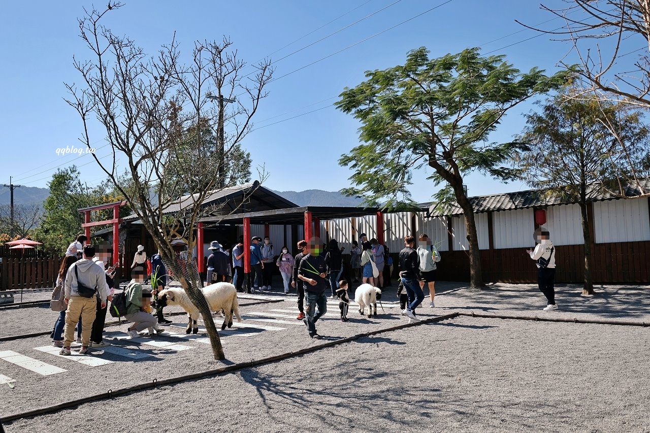 宜蘭三星︱張美阿嬤農場．宜蘭超人氣農場，近距離接觸水豚君、笑笑羊、羊駝和梅花鹿，太萌啦&#8230; @QQ的懶骨頭