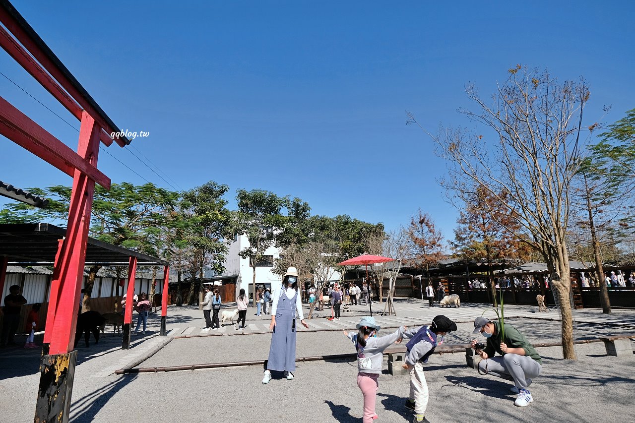 宜蘭三星︱張美阿嬤農場．宜蘭超人氣農場，近距離接觸水豚君、笑笑羊、羊駝和梅花鹿，太萌啦&#8230; @QQ的懶骨頭