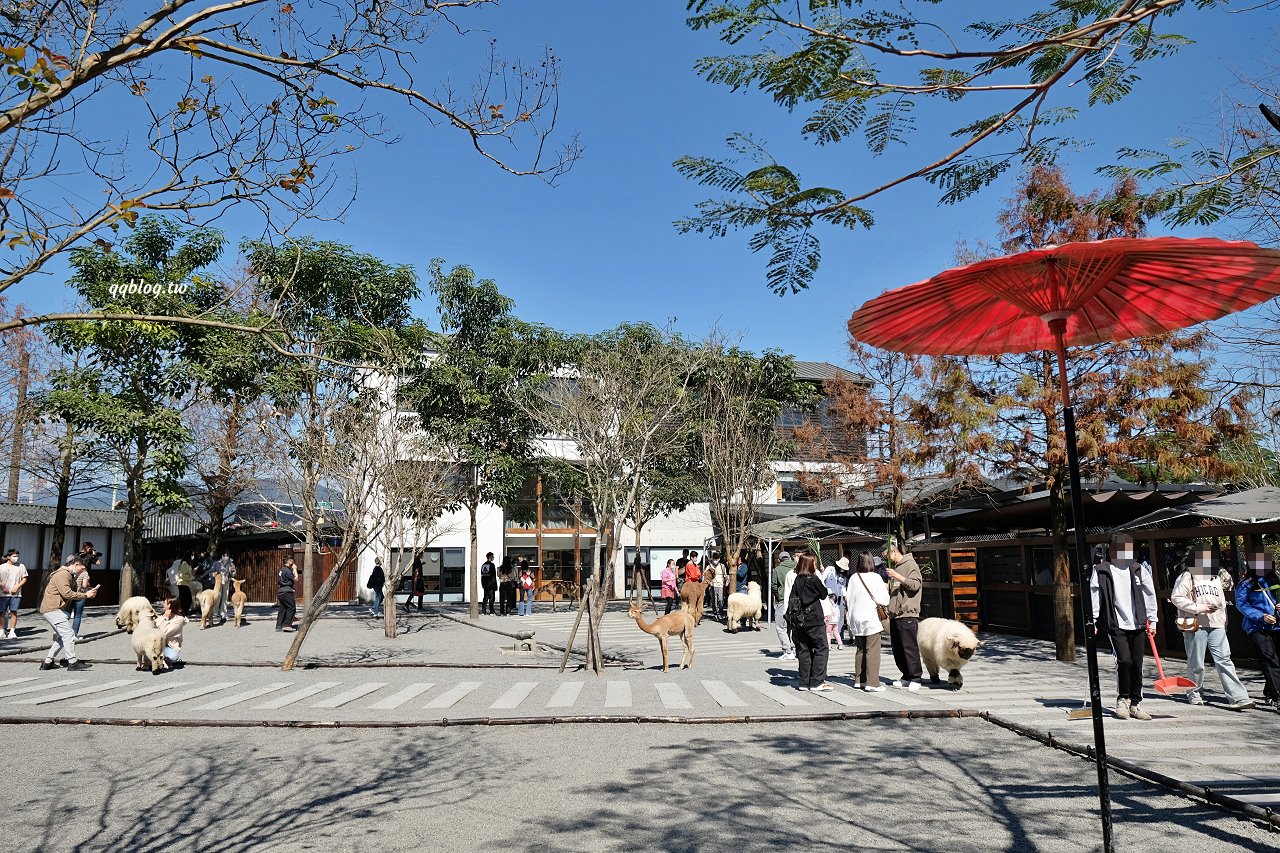 宜蘭三星︱張美阿嬤農場．宜蘭超人氣農場，近距離接觸水豚君、笑笑羊、羊駝和梅花鹿，太萌啦&#8230; @QQ的懶骨頭