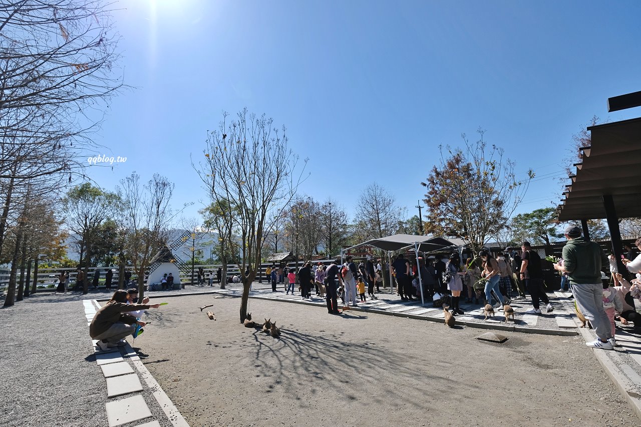 宜蘭三星︱張美阿嬤農場．宜蘭超人氣農場，近距離接觸水豚君、笑笑羊、羊駝和梅花鹿，太萌啦&#8230; @QQ的懶骨頭