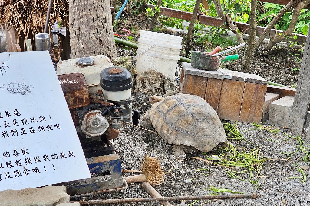 台東卑南︱可可娜咖啡 coconut cafe&#8217;．南洋風景觀海景咖啡館，很有置身在國外的異國風味 @QQ的懶骨頭