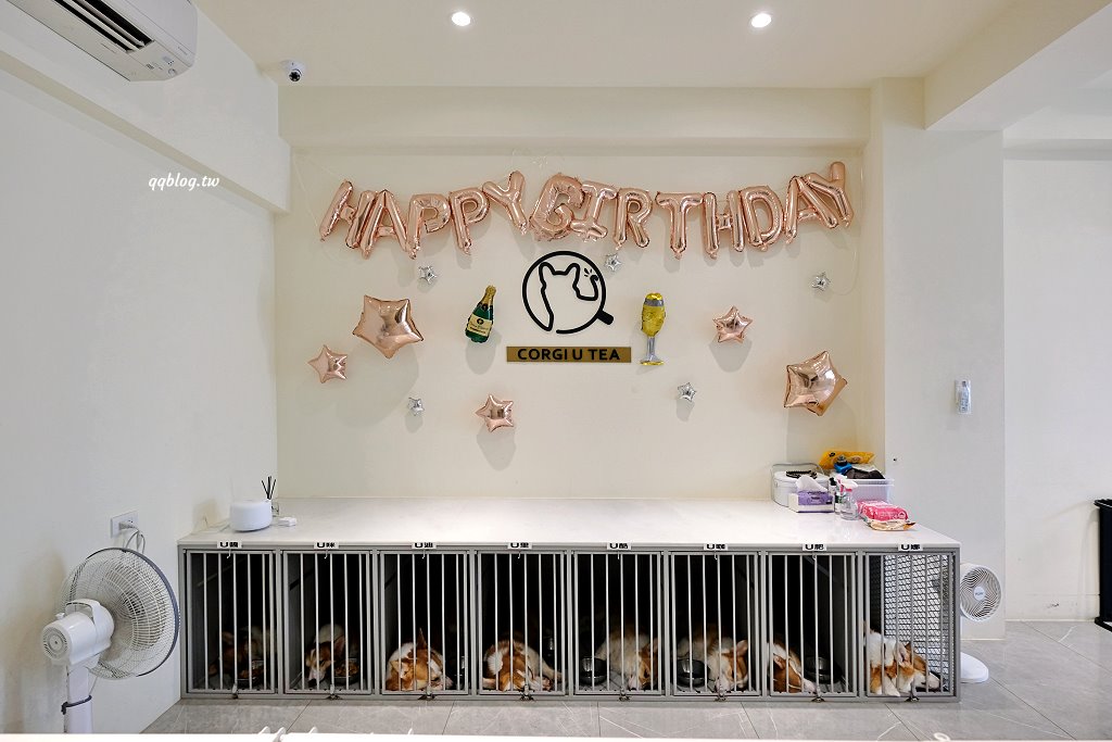 台南安平︱柯基找茶．柯基犬太可愛，要摸、要抱要擼都可以，非常親人 @QQ的懶骨頭