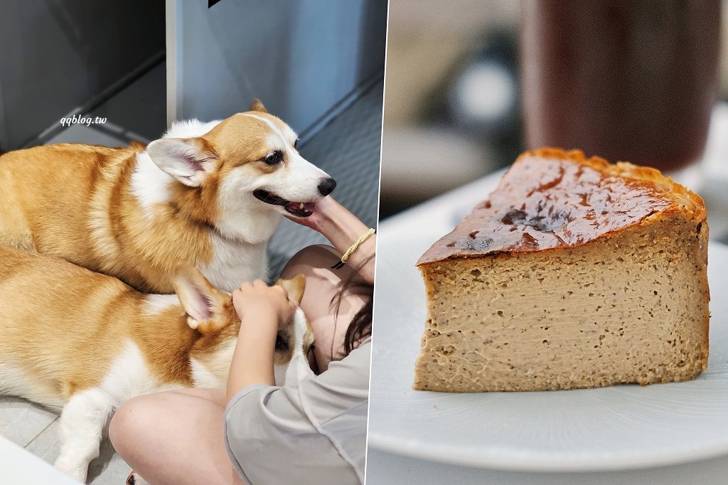 台南安平︱柯基找茶．柯基犬太可愛，要摸、要抱要擼都可以，非常親人 @QQ的懶骨頭