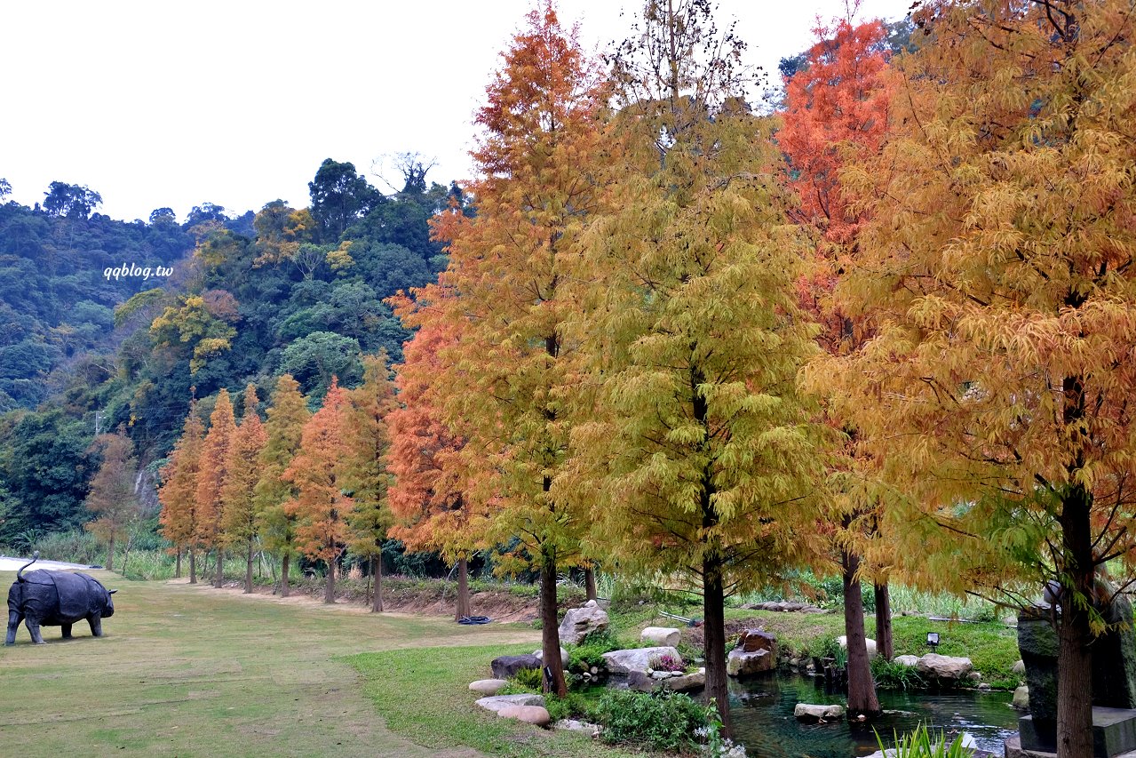 台中新社︱浮世三千．隱身山區的預約制無菜單料理景觀餐廳，大片落羽松超美，露營區即將開放 @QQ的懶骨頭