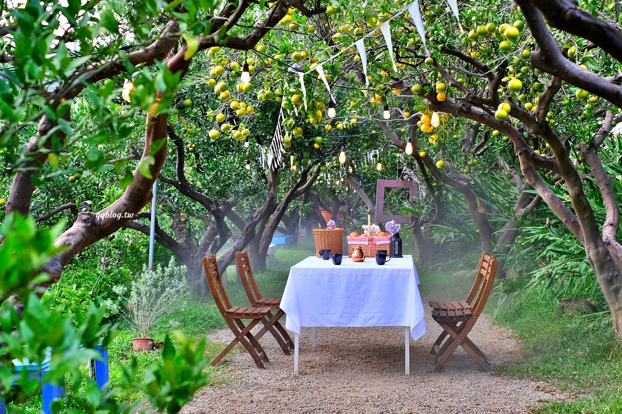 苗栗頭屋︱橙香森林.山林裡的唯美玻璃屋,還有美美的橘子隧道超好拍 @QQ的懶骨頭 苗栗頭屋︱橙香森林.山林裡的唯美玻璃屋,還有美美的橘子隧道超好拍 @QQ的懶骨頭