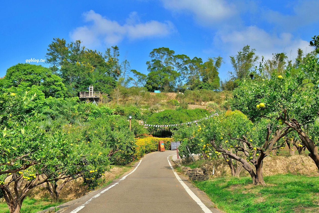 苗栗頭屋︱橙香森林.山林裡的唯美玻璃屋,還有美美的橘子隧道超好拍 @QQ的懶骨頭 苗栗頭屋︱橙香森林.山林裡的唯美玻璃屋,還有美美的橘子隧道超好拍 @QQ的懶骨頭