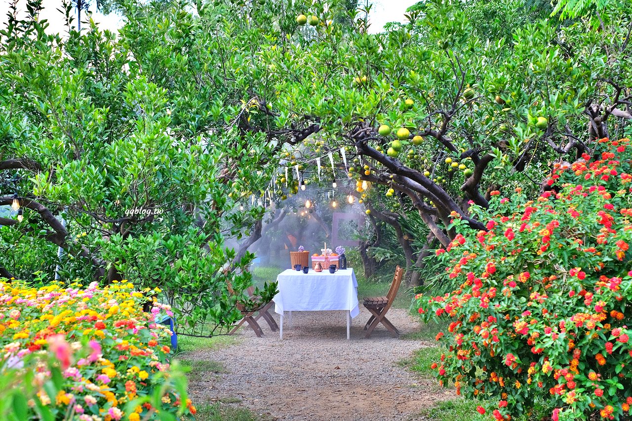 苗栗頭屋︱橙香森林.山林裡的唯美玻璃屋,還有美美的橘子隧道超好拍 @QQ的懶骨頭 苗栗頭屋︱橙香森林.山林裡的唯美玻璃屋,還有美美的橘子隧道超好拍 @QQ的懶骨頭