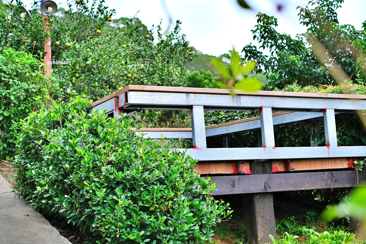 苗栗頭屋︱橙香森林.山林裡的唯美玻璃屋,還有美美的橘子隧道超好拍 @QQ的懶骨頭 苗栗頭屋︱橙香森林.山林裡的唯美玻璃屋,還有美美的橘子隧道超好拍 @QQ的懶骨頭