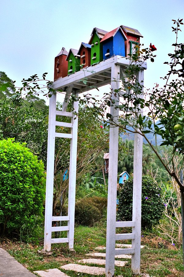 苗栗頭屋︱橙香森林.山林裡的唯美玻璃屋,還有美美的橘子隧道超好拍 @QQ的懶骨頭 苗栗頭屋︱橙香森林.山林裡的唯美玻璃屋,還有美美的橘子隧道超好拍 @QQ的懶骨頭