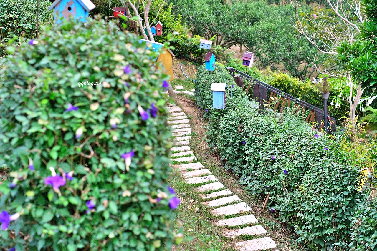 苗栗頭屋︱橙香森林.山林裡的唯美玻璃屋,還有美美的橘子隧道超好拍 @QQ的懶骨頭 苗栗頭屋︱橙香森林.山林裡的唯美玻璃屋,還有美美的橘子隧道超好拍 @QQ的懶骨頭