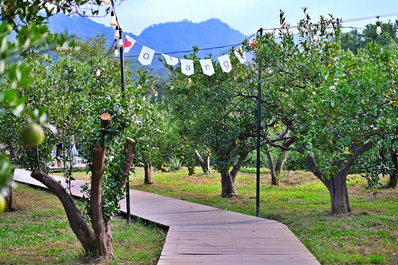 苗栗頭屋︱橙香森林.山林裡的唯美玻璃屋,還有美美的橘子隧道超好拍 @QQ的懶骨頭 苗栗頭屋︱橙香森林.山林裡的唯美玻璃屋,還有美美的橘子隧道超好拍 @QQ的懶骨頭