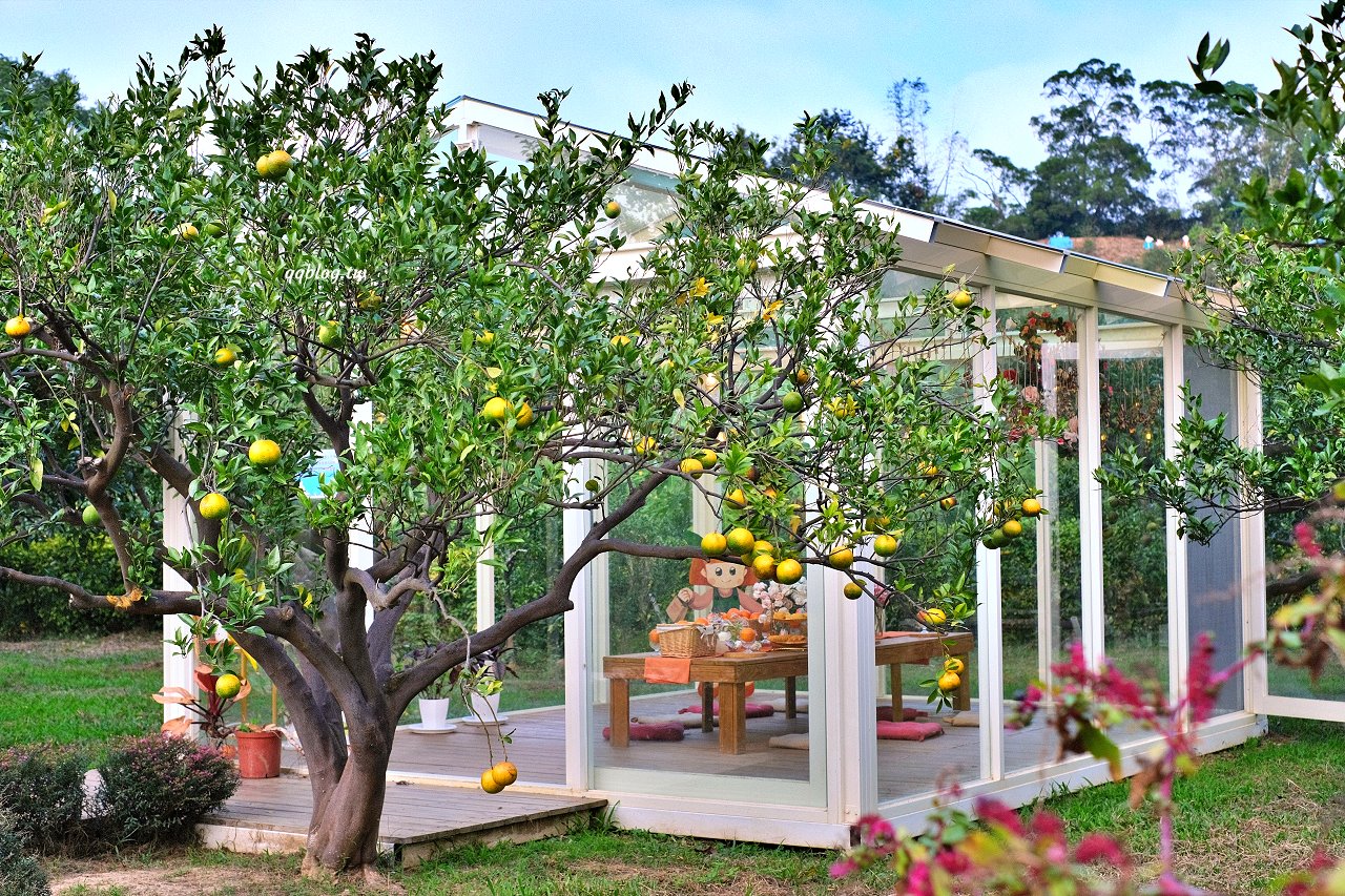 苗栗頭屋︱橙香森林.山林裡的唯美玻璃屋,還有美美的橘子隧道超好拍 @QQ的懶骨頭 苗栗頭屋︱橙香森林.山林裡的唯美玻璃屋,還有美美的橘子隧道超好拍 @QQ的懶骨頭