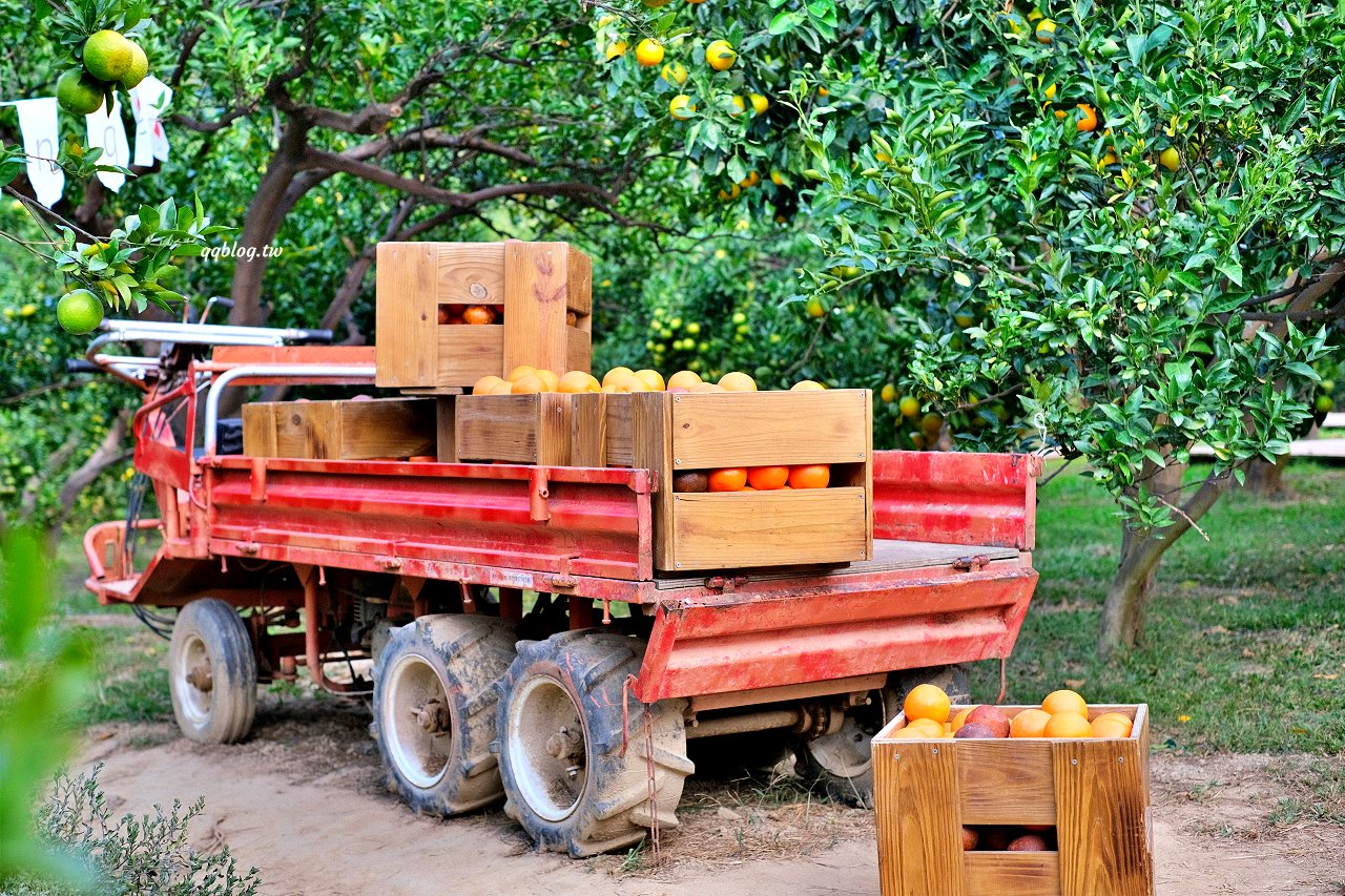 苗栗頭屋︱橙香森林．山林裡的唯美玻璃屋，還有美美的橘子隧道超好拍 @QQ的懶骨頭