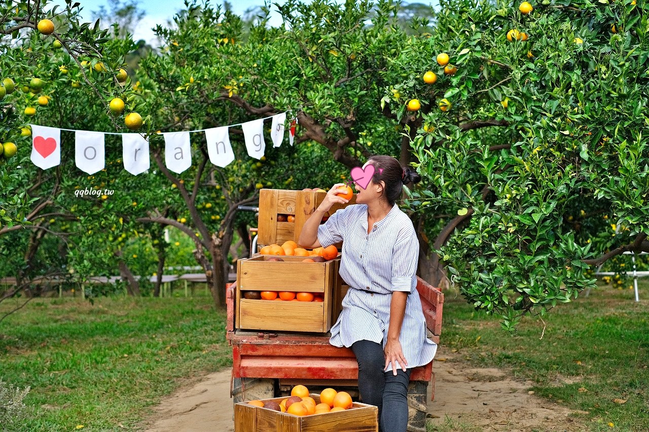 苗栗頭屋︱橙香森林.山林裡的唯美玻璃屋,還有美美的橘子隧道超好拍 @QQ的懶骨頭 苗栗頭屋︱橙香森林.山林裡的唯美玻璃屋,還有美美的橘子隧道超好拍 @QQ的懶骨頭